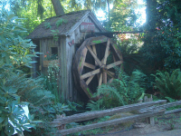 Old Water Wheel at Lattin's Country Cider Mill
